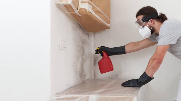 Professional Bathroom Mold Removal technician working in Addison, IL